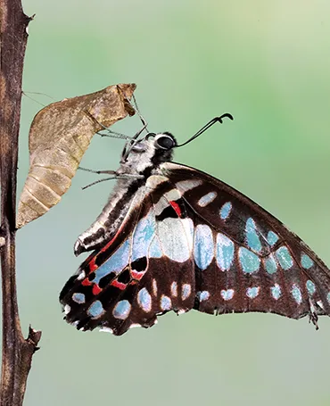 Νέα Οριζόντια Δύναμη - Θέσεις, Αλλαγή στον Δήμο Κάτω Πολεμιδιών